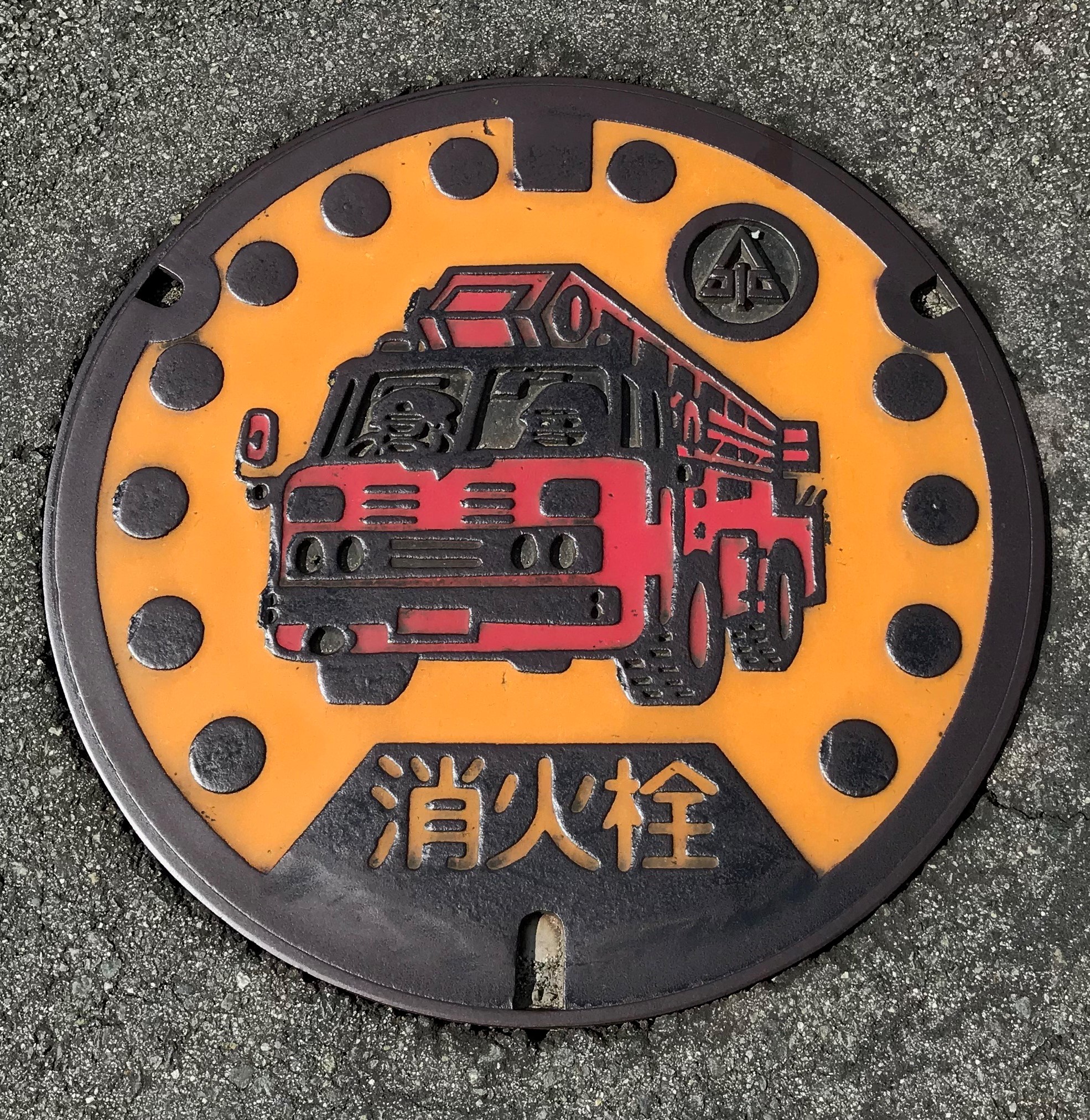 【熊本水前寺】ウォーキング３