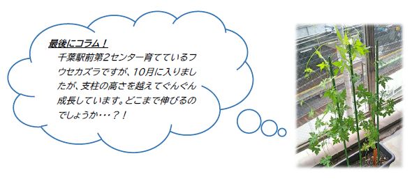 【千葉駅前第2】コラム