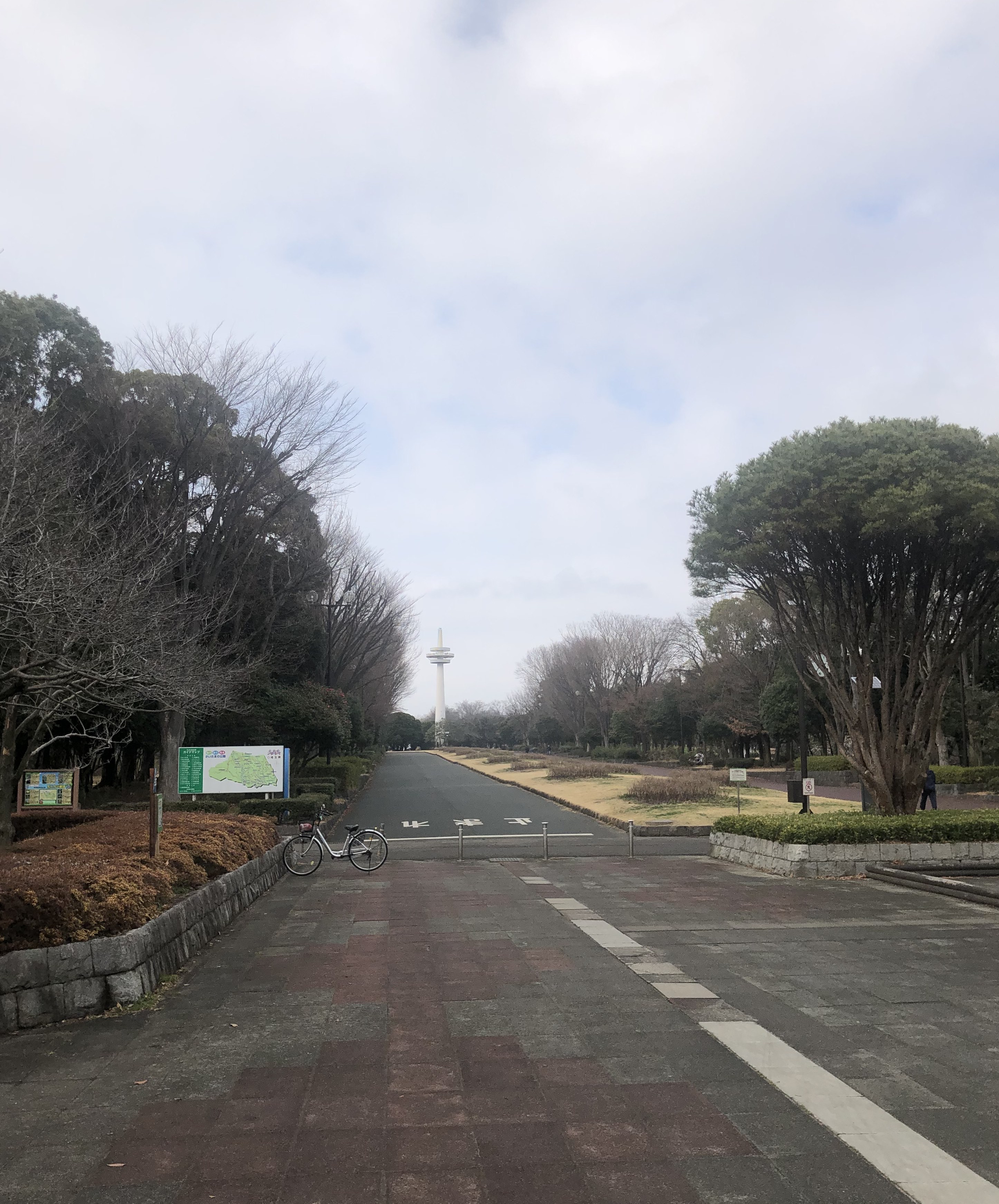 【所沢プロぺ通り】カリキュラム「ウォーキング」のご紹介①