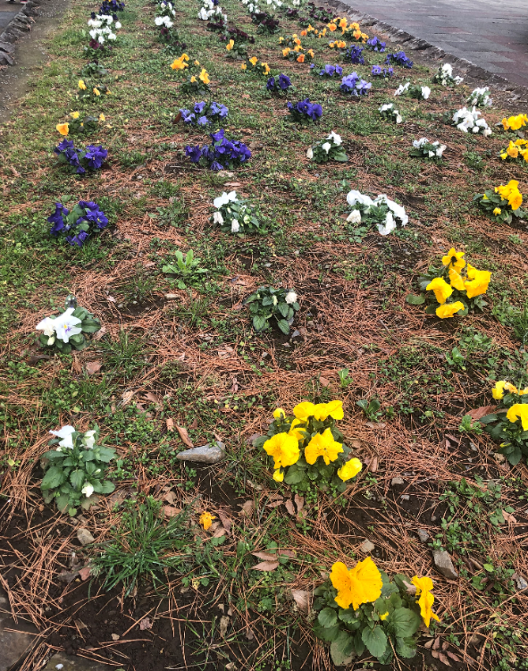 【所沢プロぺ通り】カリキュラム「ウォーキング」のご紹介②