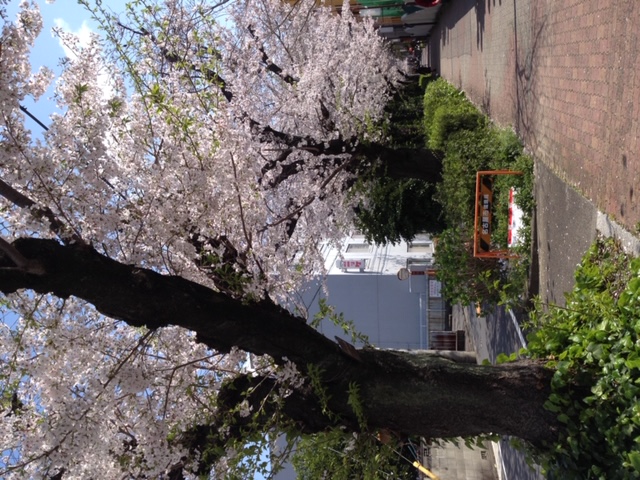 【ウェブ掲載】ウェルビー千種センター（4月22日）依頼