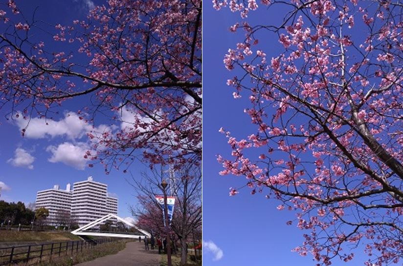【新横浜】ウォーキング