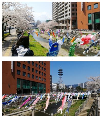 【松本】春のウォーキング