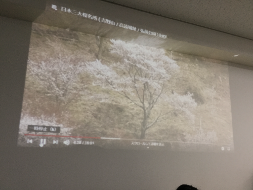 ブログ用写真②縮小