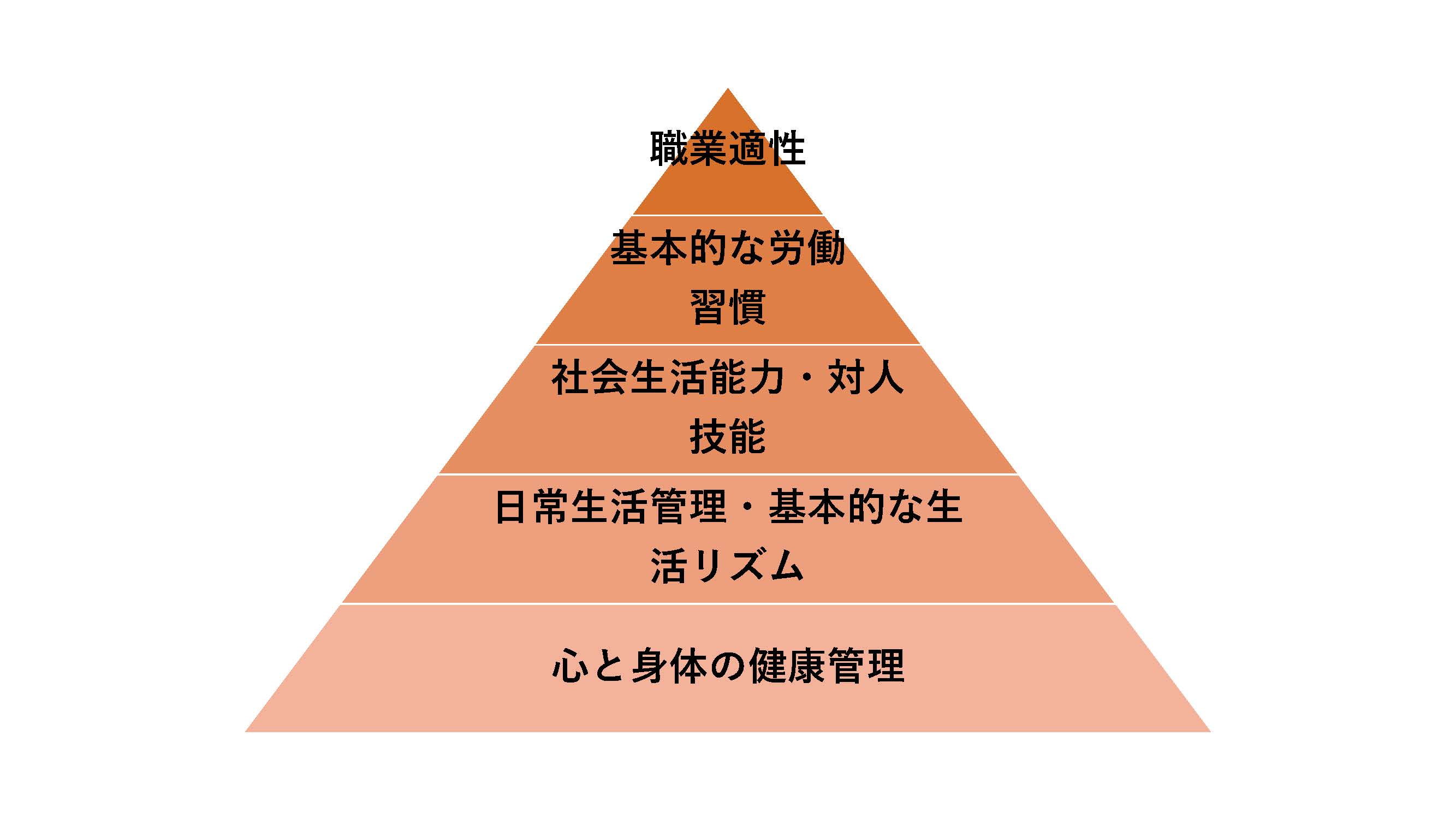 【横須賀】20210203(職業準備性ピラミッド) (1)