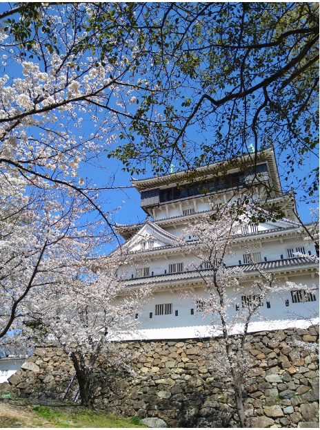 チャレンジ小倉画像