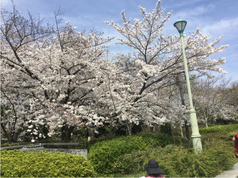 大阪天王寺センターIMG_0391