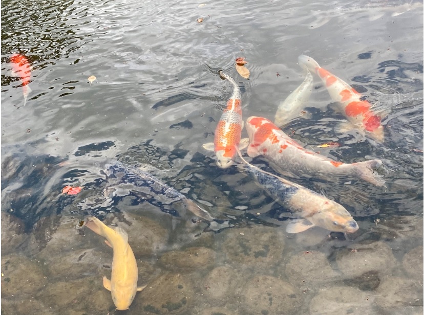 広島駅前第2センター画像03