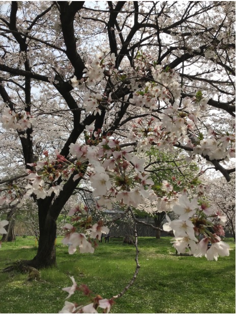 松山センター画像1