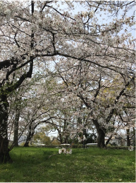 松山センター画像2