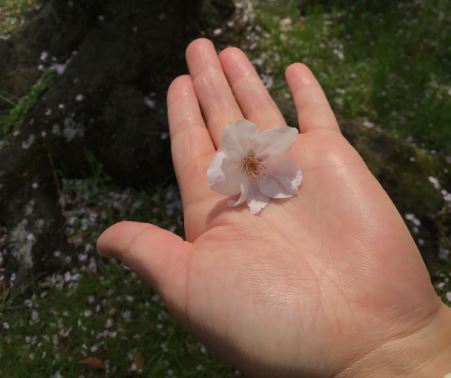 松山センター画像3