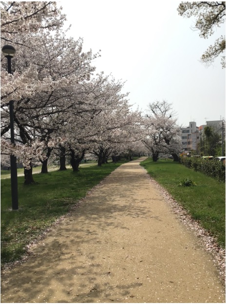 松山センター画像4