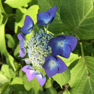 草加駅前東口センター画像①