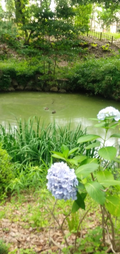 ウェルビー金山センター02