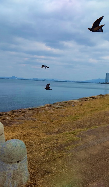 ウェルビー大津センター写真③