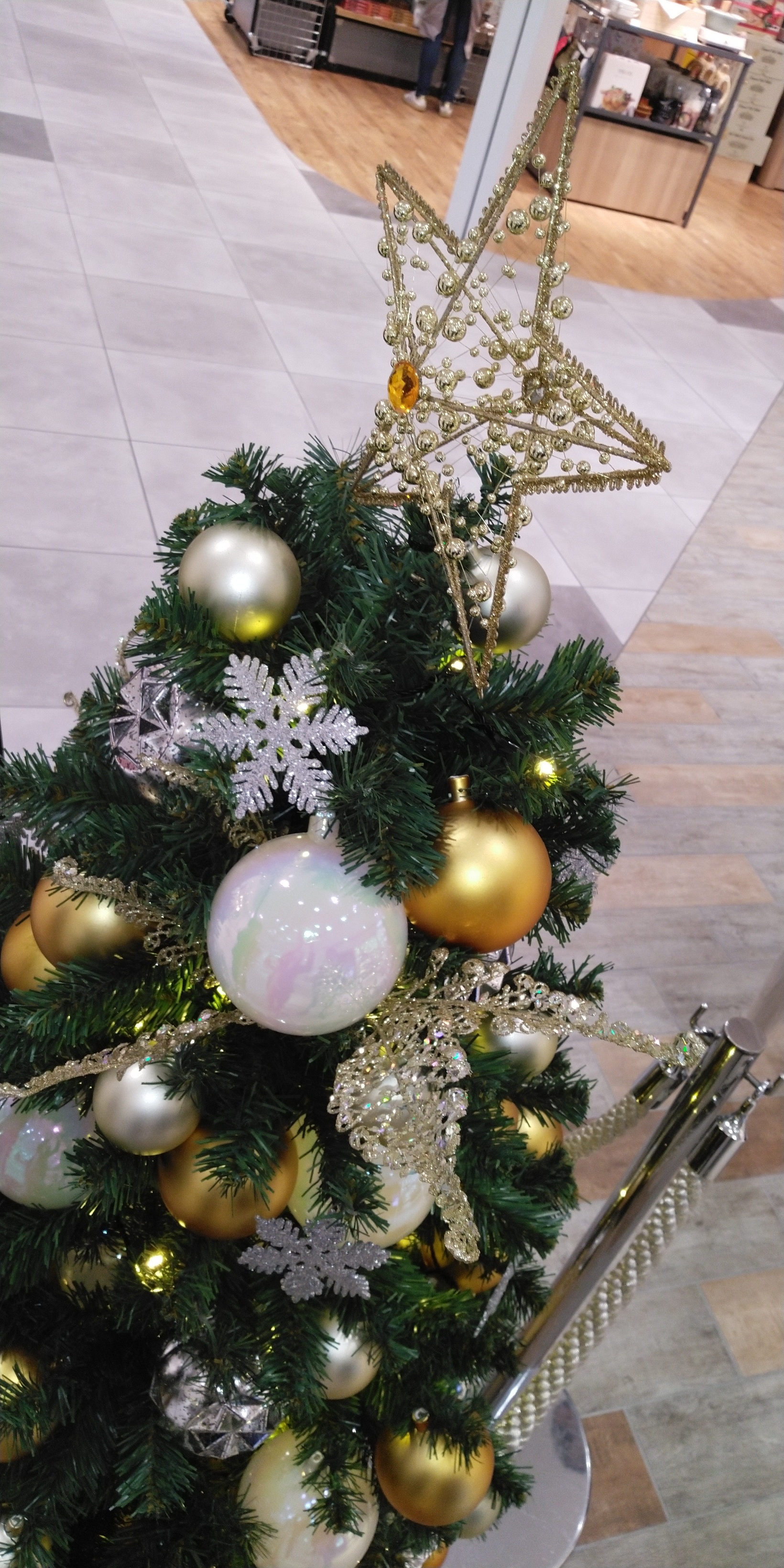 【名古屋】ロングウォーキング12月