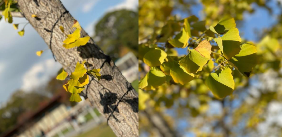 【大阪天王寺】写真④