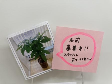 ウェルビー富山センター写真名前