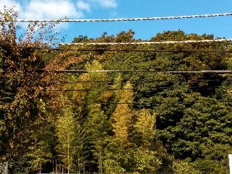 ウェルビー戸塚駅前センター写真
