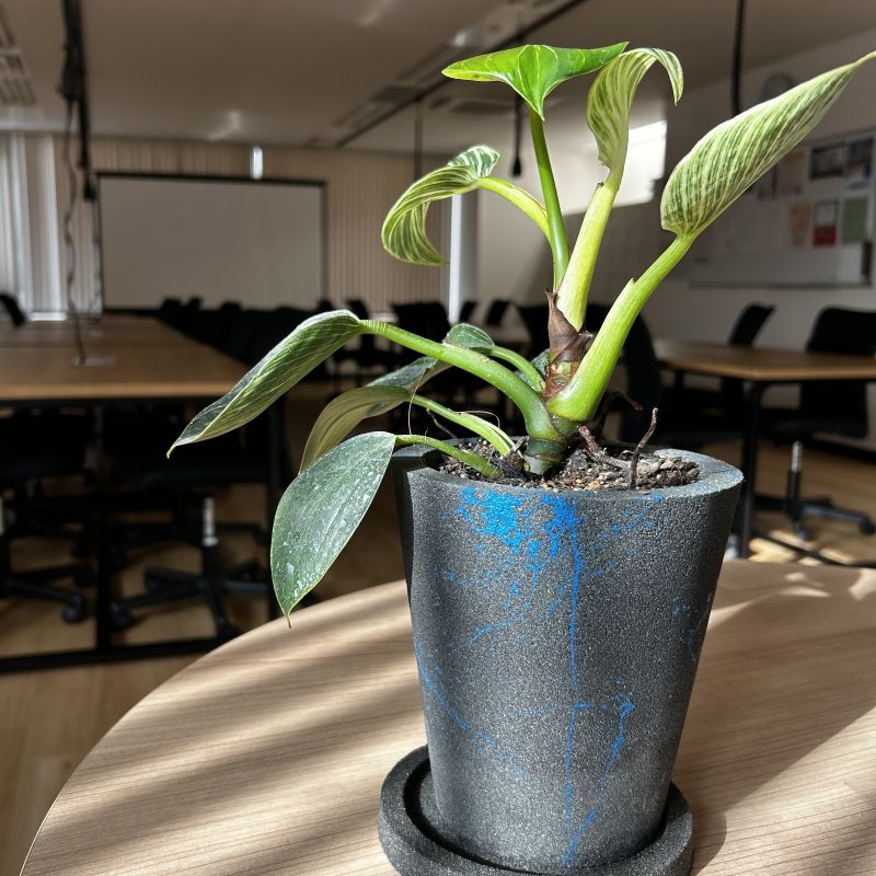 ウェルビー呉駅前センター_植物の写真①