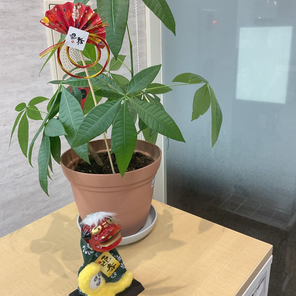 2026パキラウェルビーチャレンジ松山銀天街センター